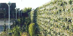 mur anti-bruit intensif rockdelta